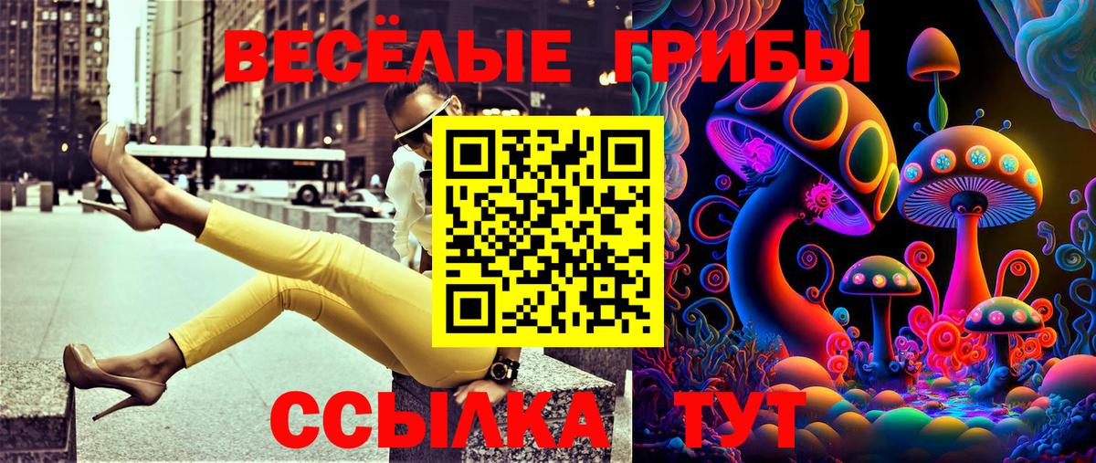 Галлюциногенные грибы мухоморы  Псилоцибиновые грибы MAGIC MUSHROOMS  Реж  Вход с VPN 